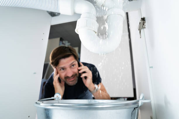 Best Plumbing Inspection Services  in Flossmoor, IL