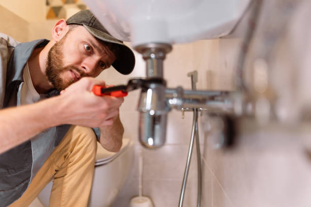 Best Plumbing Inspection Services  in Flossmoor, IL